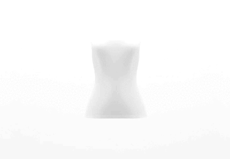 Body Geometry
